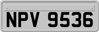 NPV9536