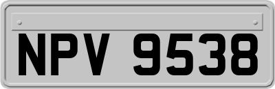 NPV9538