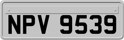 NPV9539
