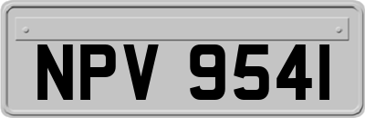 NPV9541