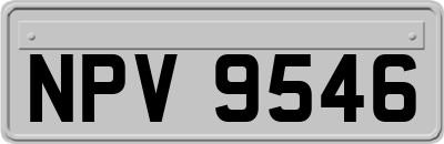 NPV9546