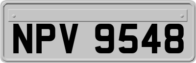 NPV9548