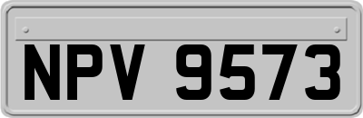 NPV9573