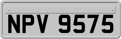 NPV9575
