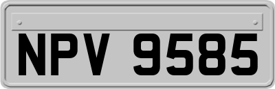 NPV9585