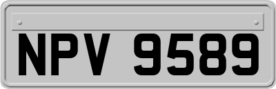 NPV9589