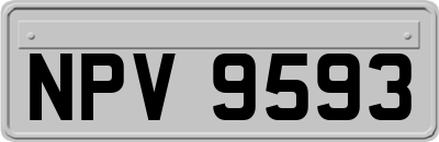 NPV9593