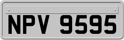 NPV9595