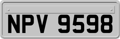 NPV9598