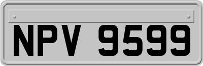 NPV9599