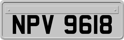 NPV9618