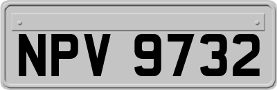 NPV9732