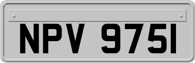 NPV9751