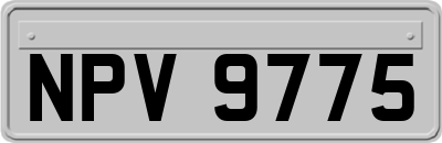 NPV9775