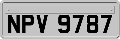 NPV9787