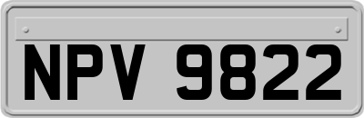 NPV9822