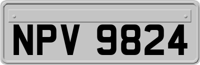NPV9824