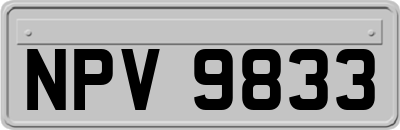 NPV9833