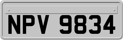 NPV9834