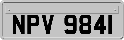 NPV9841
