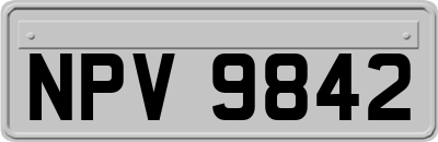 NPV9842