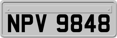 NPV9848