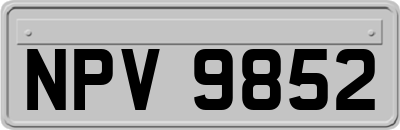 NPV9852