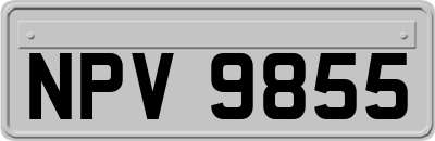 NPV9855
