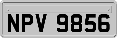 NPV9856