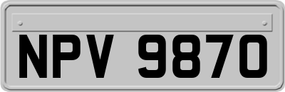 NPV9870