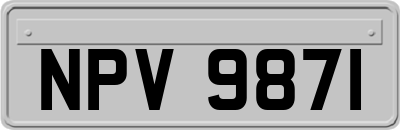 NPV9871