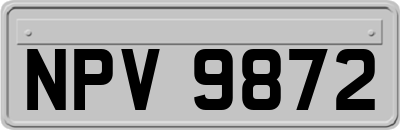 NPV9872