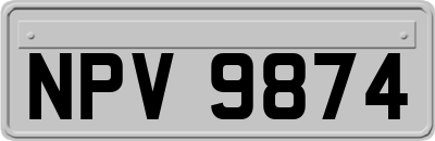 NPV9874