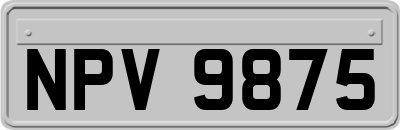 NPV9875