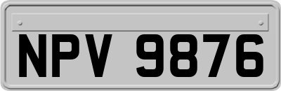 NPV9876