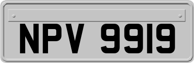 NPV9919