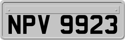 NPV9923