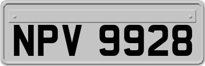NPV9928