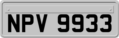 NPV9933