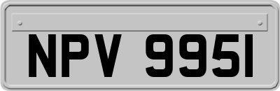 NPV9951