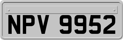 NPV9952
