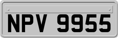 NPV9955