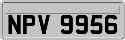 NPV9956