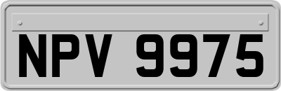NPV9975