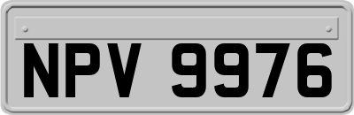 NPV9976