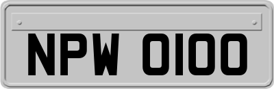 NPW0100