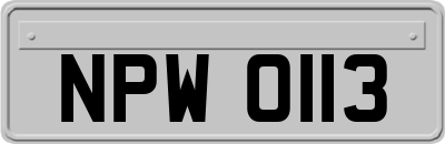 NPW0113