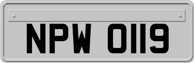 NPW0119