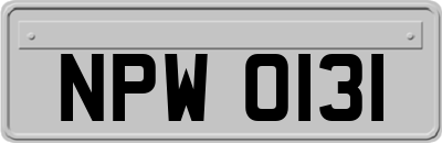 NPW0131