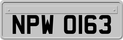 NPW0163